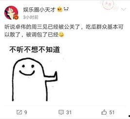 卓伟爆料出狱视频大全最新,揭秘出狱视频大全背后的真相与内幕