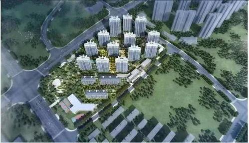 肥西楼市最新爆料消息,揭秘最新爆料背后的市场真相  第2张